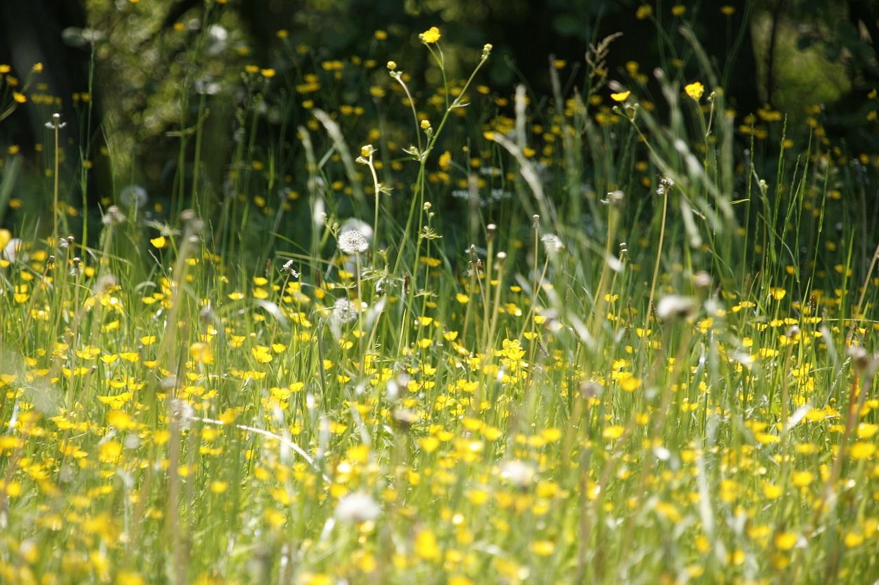 entdecken sie unsere allergiefreundlichen produkte, die speziell entwickelt wurden, um menschen mit allergien ein sicheres und angenehmes erlebnis zu bieten. ideal für allergiker und alle, die auf ihre gesundheit achten.