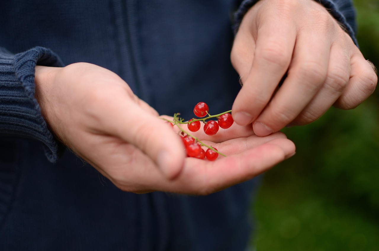 entdecken sie die welt der bio-stoffe! nachhaltige, umweltfreundliche materialien für modebewusste verbraucher. erfahren sie alles über die vorteile und anwendungen von bio-stoffen in der textilindustrie.