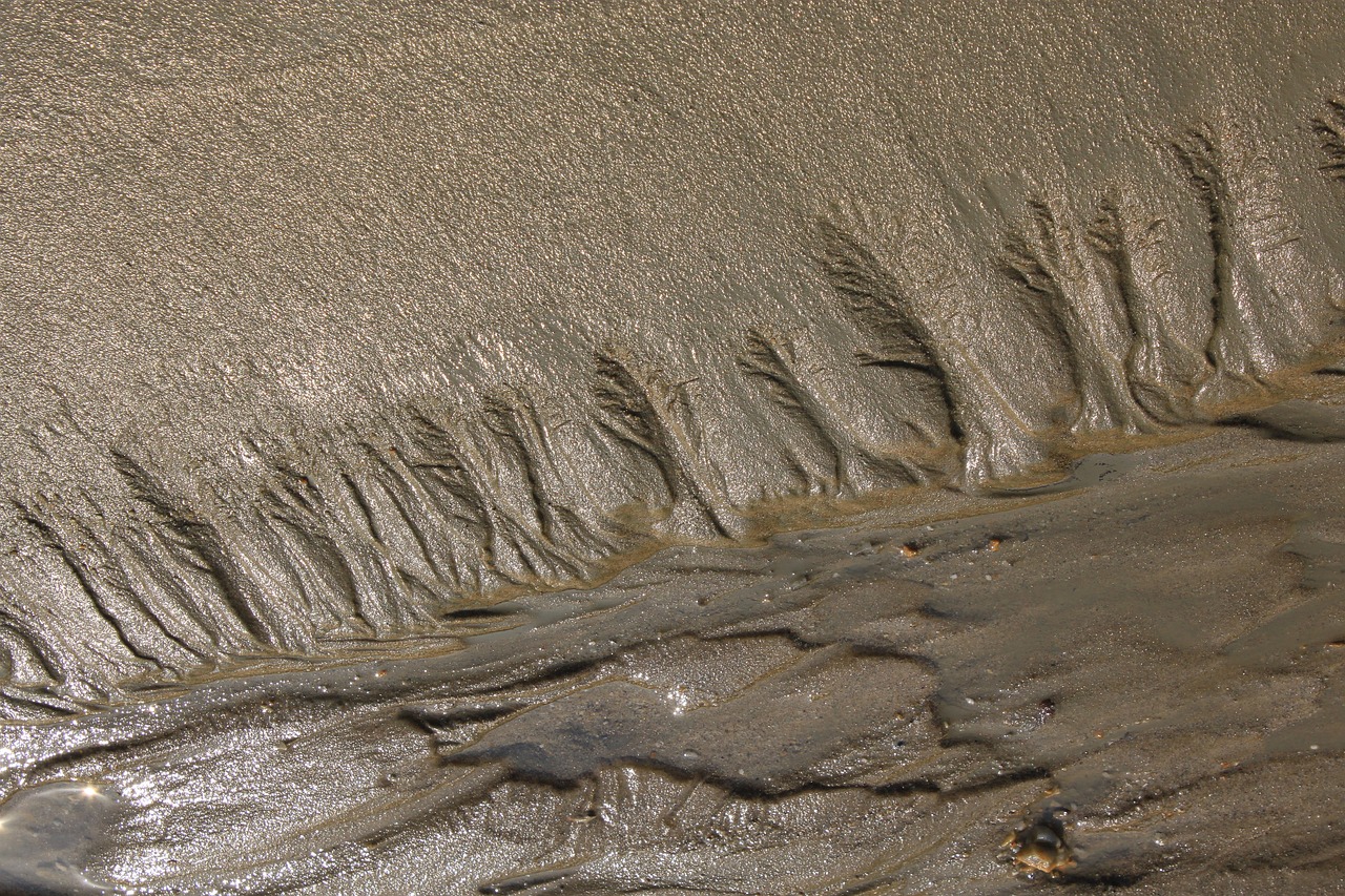 entdecken sie unsere robusten mud pants, ideal für alle outdoor-abenteuer. hergestellt aus wasserdichtem material, bieten sie perfekten schutz vor nässe und schmutz. perfekt für wanderungen, camping und mehr!