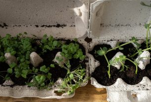 entdecken sie die welt des upcyclings: kreative ideen zur wiederverwertung alter materialien und zur förderung nachhaltiger lebensstile. lassen sie sich inspirieren, wie sie durch upcycling einzigartige produkte schaffen und die umwelt schützen können.