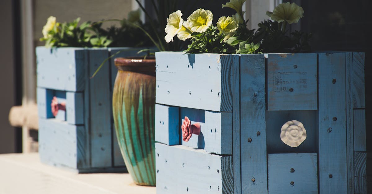 entdecken sie kreative diy-ideen, die einfach umzusetzen sind! basteln sie mit unseren anleitungen und tipps, um ihr zuhause individuell zu gestalten und persönliche geschenke zu kreieren. lassen sie ihrer kreativität freien lauf!