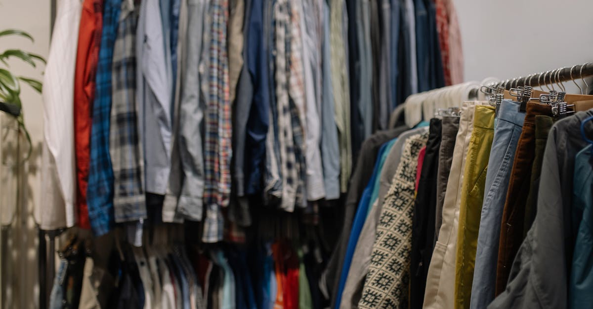 entdecken sie nachhaltige mode, die stil und umweltbewusstsein vereint. finden sie ethisch produzierte kleidung, die sowohl trendy als auch umweltfreundlich ist. tragen sie zur verbesserung der welt bei, indem sie bewusste kaufentscheidungen treffen.