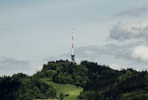 landscape photo of green trees with green grass